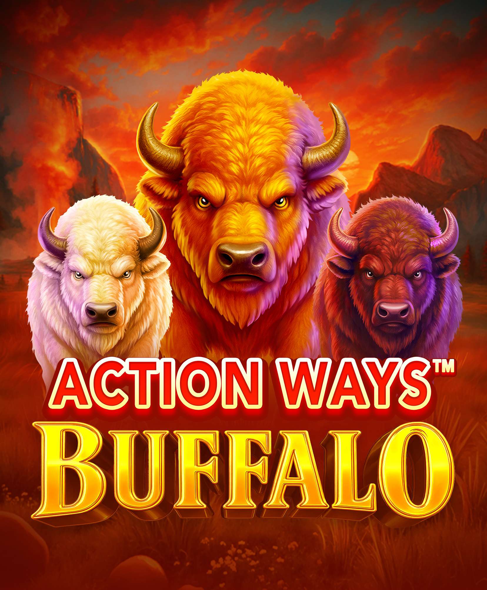 Action Ways Buffalo