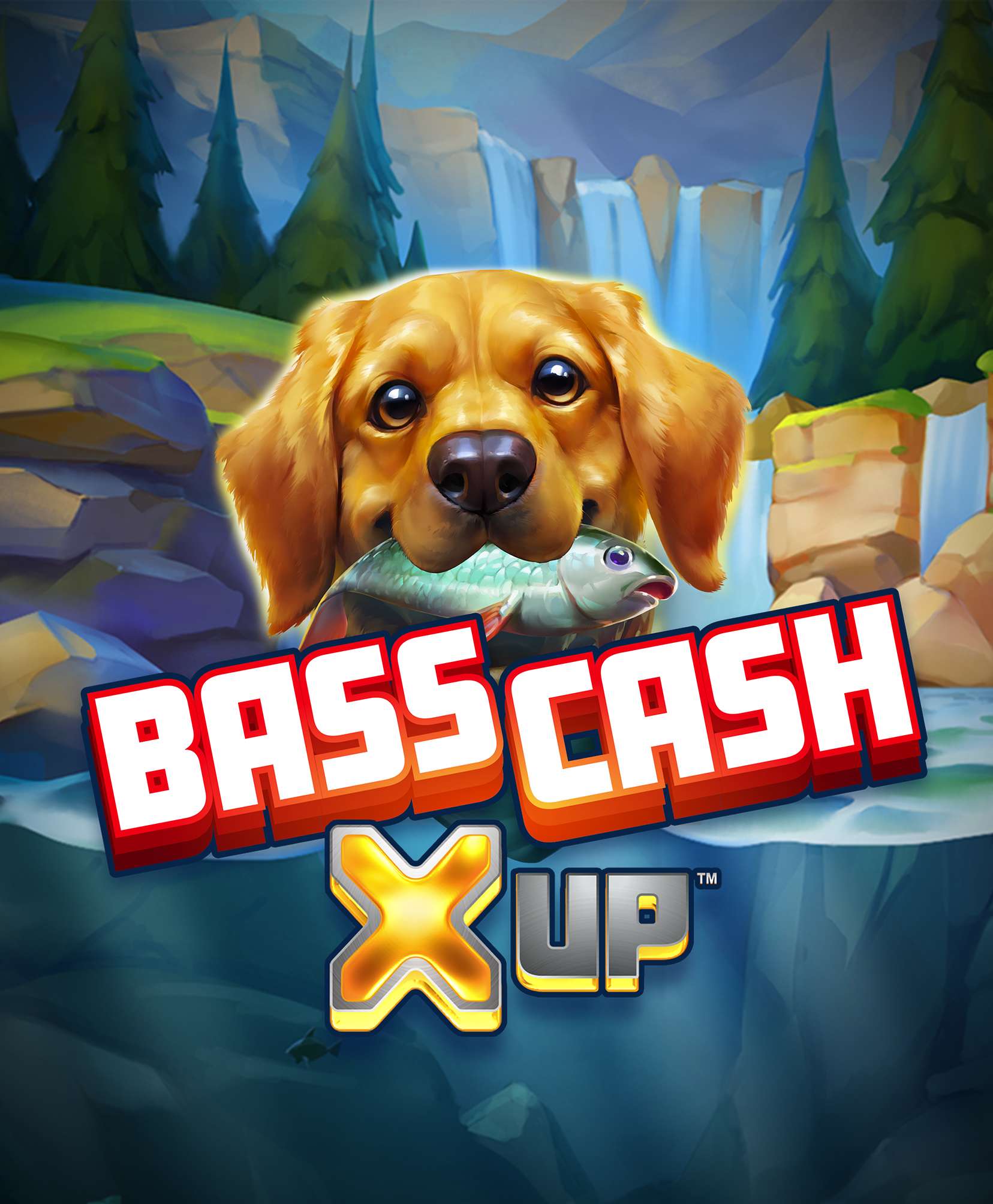 Bass Cash X UP