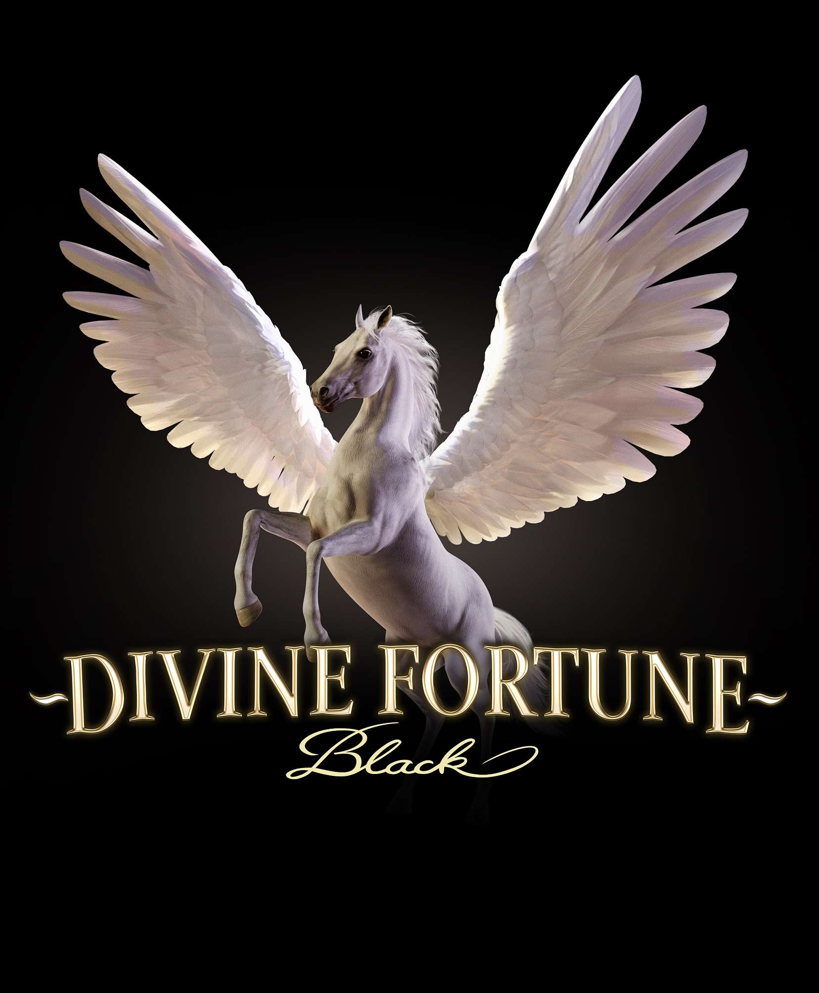 Divine Fortune Black
