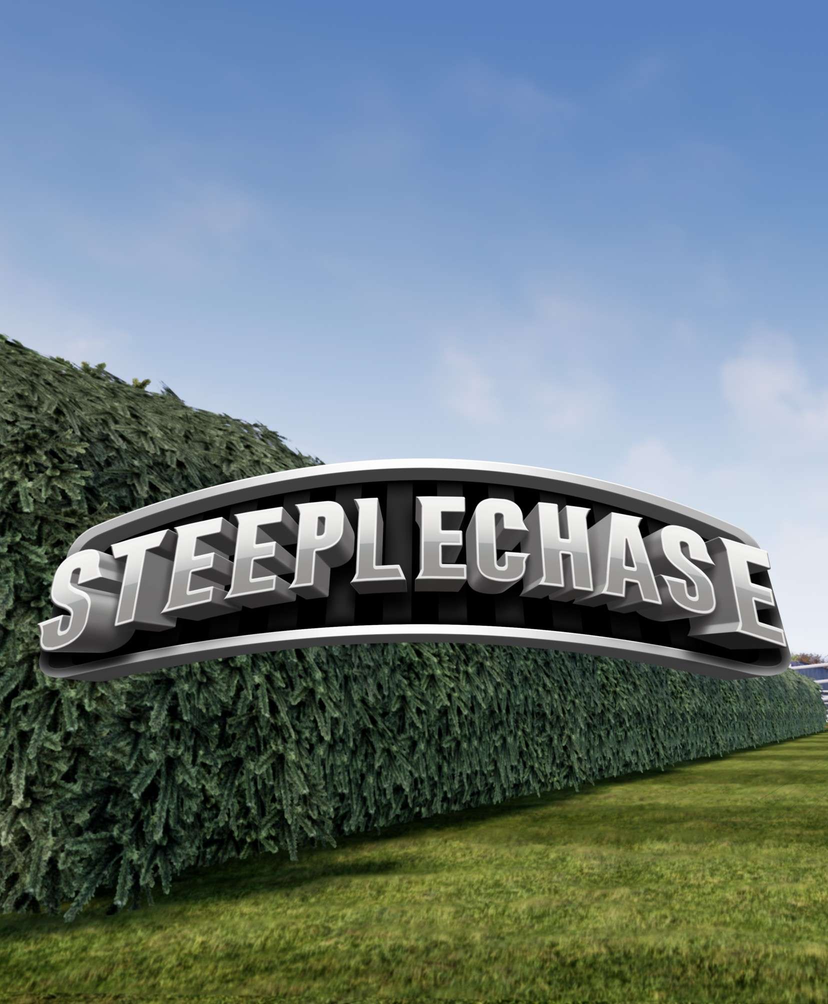 Steeplechase