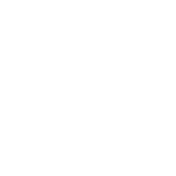 19+ Age Limit